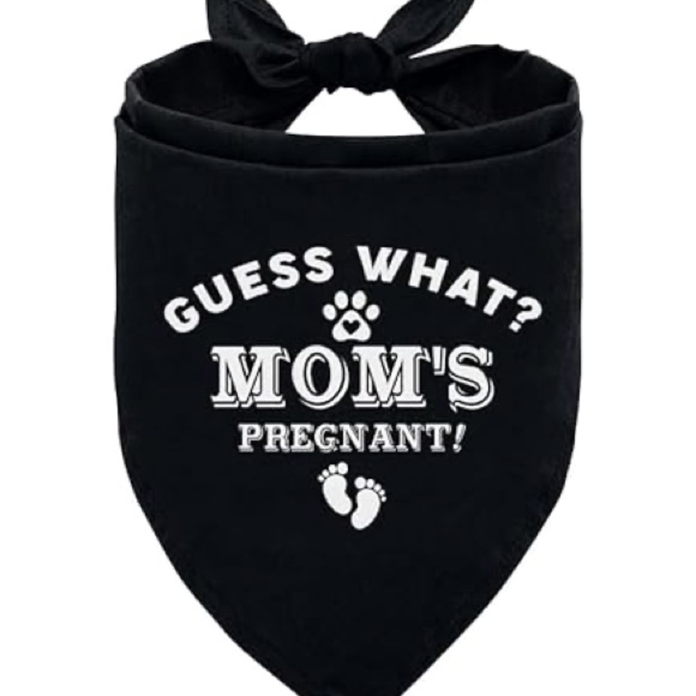 Bandana Pregnancy Announcement - Picture 2 of 3